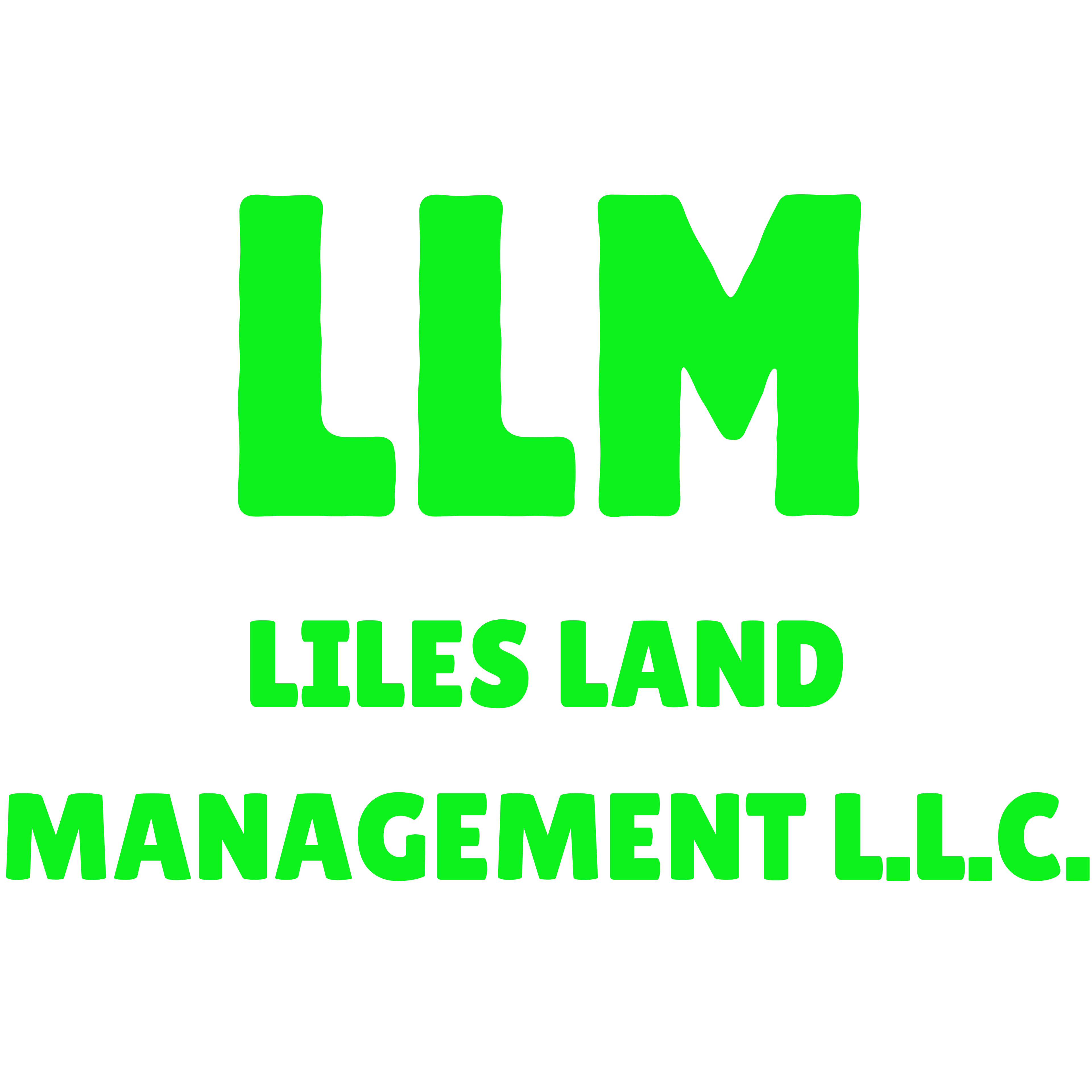 LLM shirt bundle